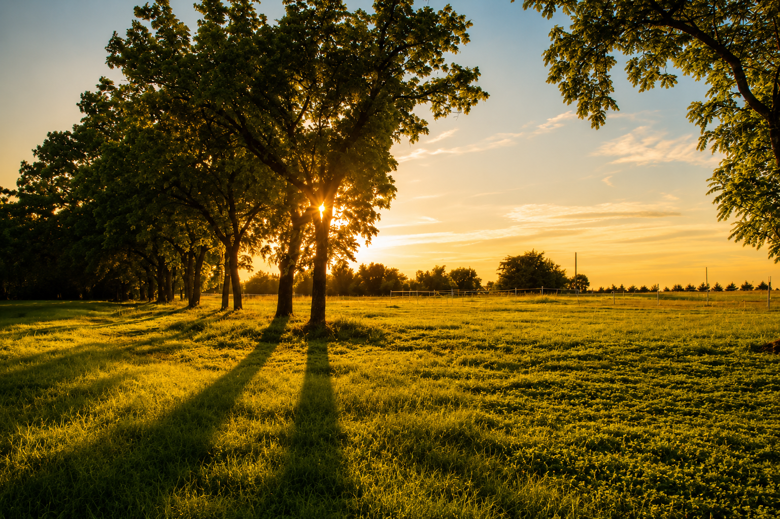 Open field at sunset