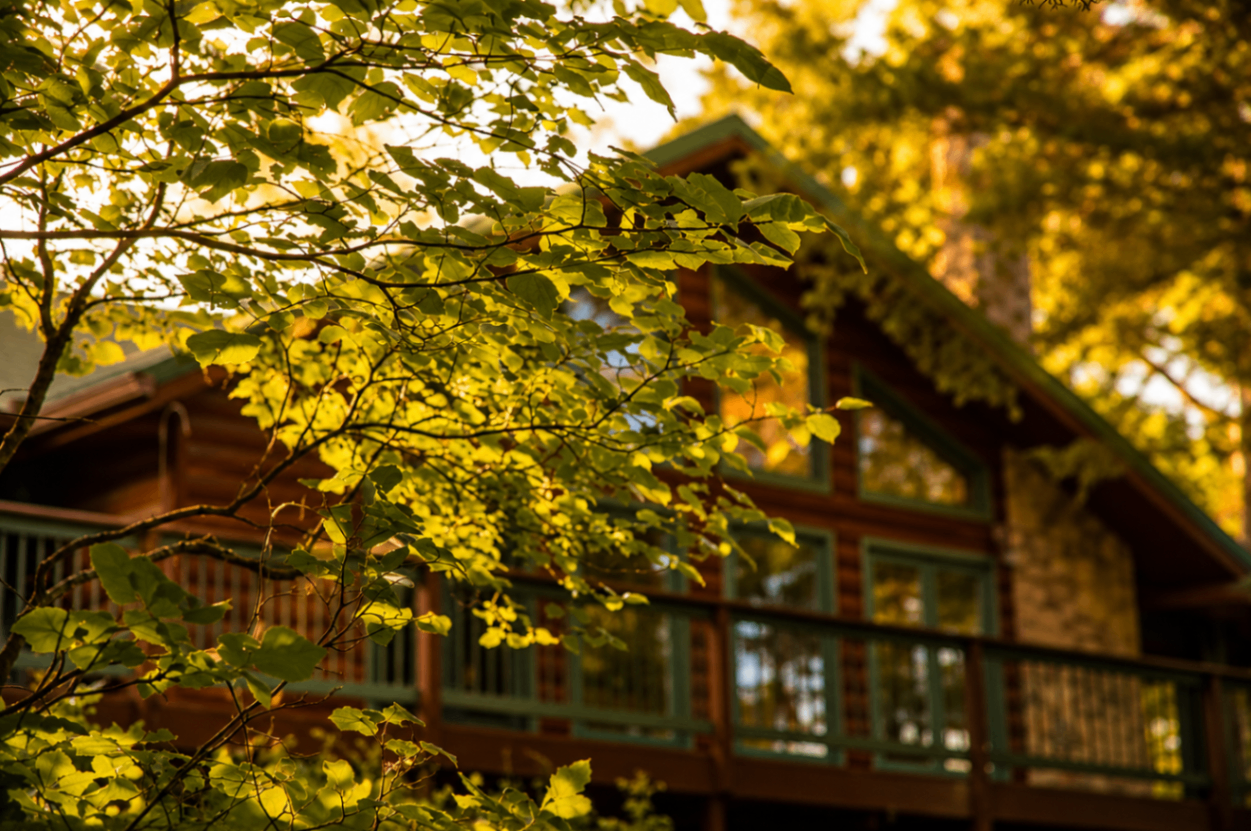 Close view of the cabin framed by sunlit leaves