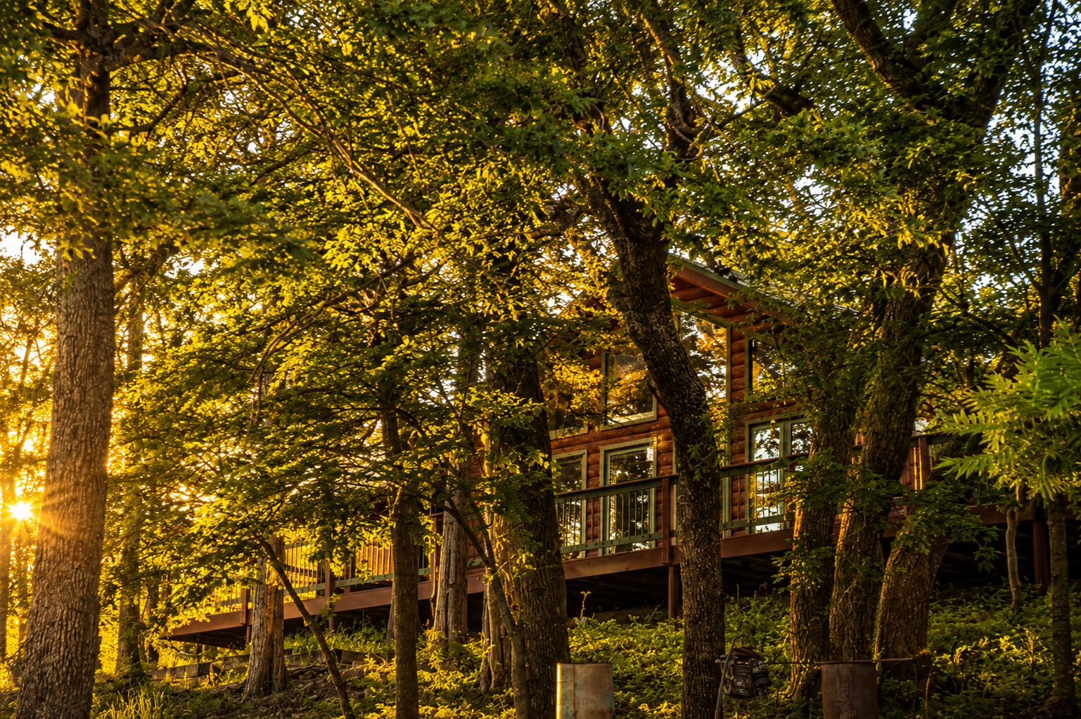 Lodge nestled in the forest